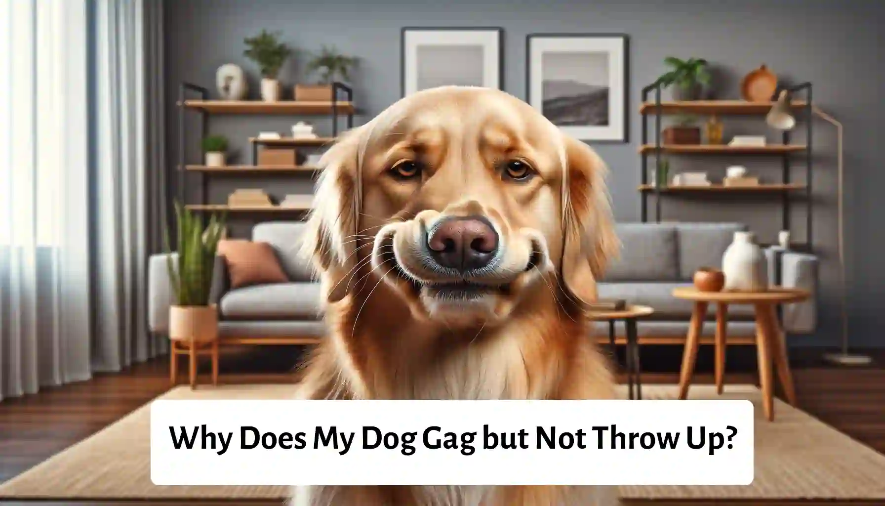 Dog Gagging Understanding Causes and Remedies for Canine Gag Reflex