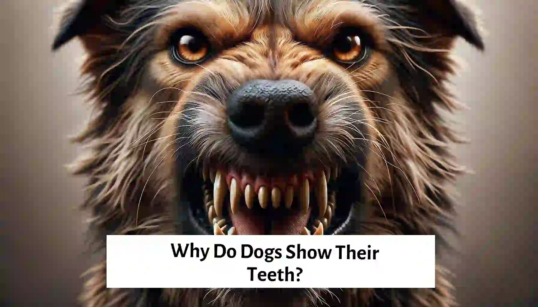 Assertive canine displaying teeth in a confident posture