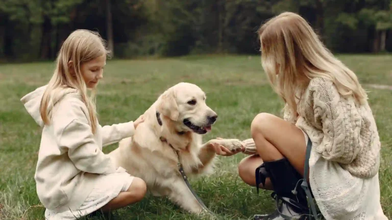 Mother and daughter joyfully playing with their Labrador Retriever dog